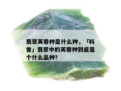 翡翠芙蓉种是什么种，「科普」翡翠中的芙蓉种到底是个什么品种？