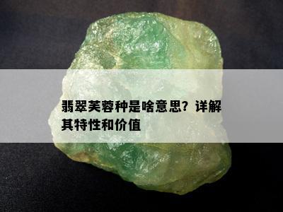 翡翠芙蓉种是啥意思？详解其特性和价值