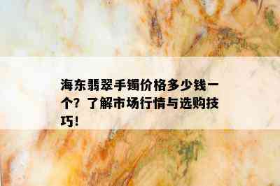 海东翡翠手镯价格多少钱一个？了解市场行情与选购技巧！