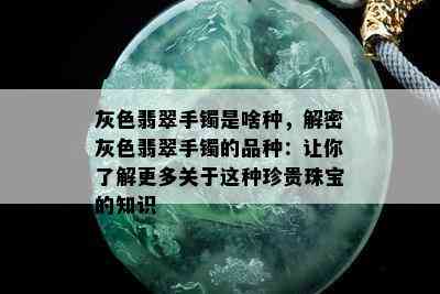 灰色翡翠手镯是啥种，解密灰色翡翠手镯的品种：让你了解更多关于这种珍贵珠宝的知识