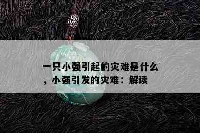 一只小强引起的灾难是什么，小强引发的灾难：解读