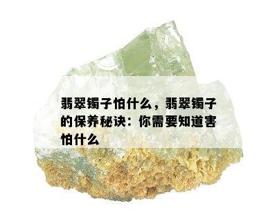 翡翠镯子怕什么，翡翠镯子的保养秘诀：你需要知道害怕什么