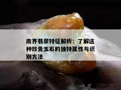 南齐翡翠特征解析：了解这种珍贵玉石的独特属性与识别方法