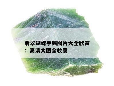 翡翠蝴蝶手镯图片大全欣赏：高清大图全收录