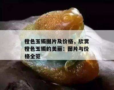 橙色玉镯图片及价格，欣赏橙色玉镯的美丽：图片与价格全览