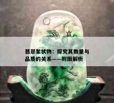 翡翠絮状物：探究其数量与品质的关系——附图解析