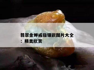 翡翠金蝉戒指镶嵌图片大全：精美欣赏