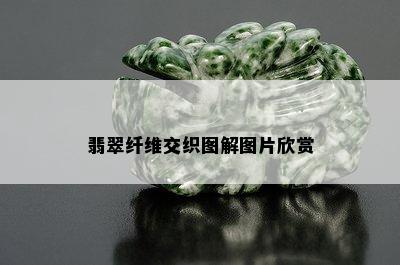 翡翠纤维交织图解图片欣赏