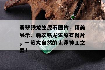 翡翠铁龙生原石图片，精美展示：翡翠铁龙生原石图片，一览大自然的鬼斧神工之美！