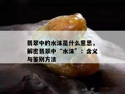 翡翠中的水沫是什么意思，解密翡翠中“水沫”：含义与鉴别方法