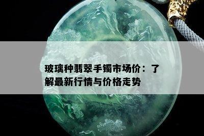 玻璃种翡翠手镯市场价：了解最新行情与价格走势