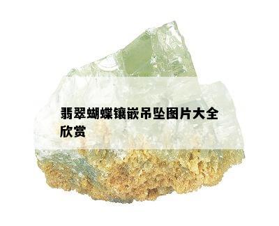 翡翠蝴蝶镶嵌吊坠图片大全欣赏