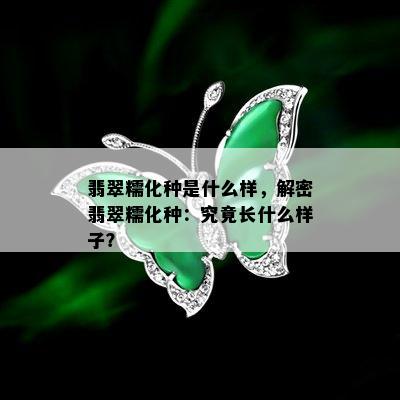 翡翠糯化种是什么样，解密翡翠糯化种：究竟长什么样子？