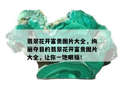 翡翠花开富贵图片大全，绚丽夺目的翡翠花开富贵图片大全，让你一饱眼福！