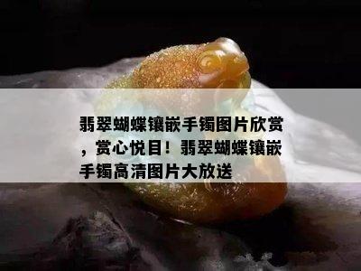 翡翠蝴蝶镶嵌手镯图片欣赏，赏心悦目！翡翠蝴蝶镶嵌手镯高清图片大放送