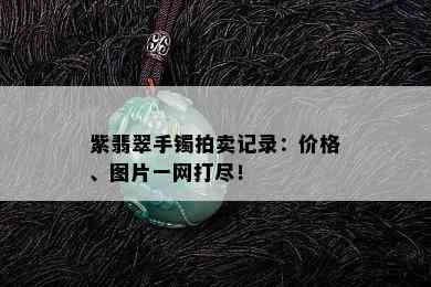 紫翡翠手镯拍卖记录：价格、图片一网打尽！