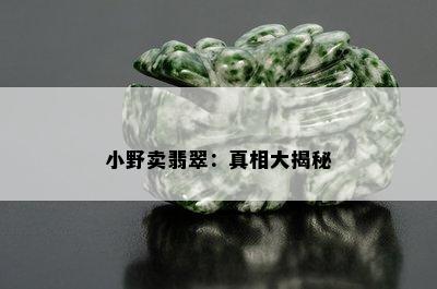 小野卖翡翠：真相大揭秘