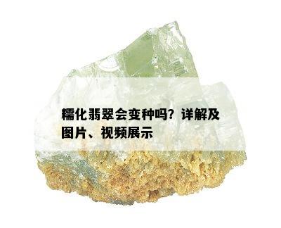 糯化翡翠会变种吗？详解及图片、视频展示