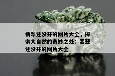 翡翠还没开的图片大全，探索大自然的奇妙之处：翡翠还没开的图片大全