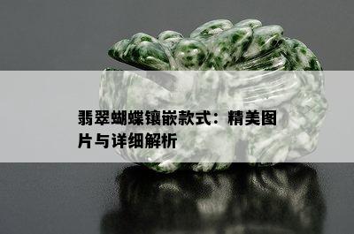 翡翠蝴蝶镶嵌款式：精美图片与详细解析