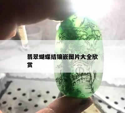 翡翠蝴蝶结镶嵌图片大全欣赏