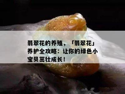 翡翠花的养殖，「翡翠花」养护全攻略：让你的绿色小宝贝茁壮成长！