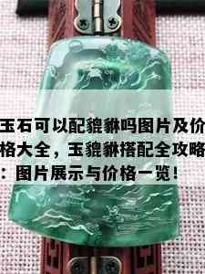 玉石可以配貔貅吗图片及价格大全，玉貔貅搭配全攻略：图片展示与价格一览！