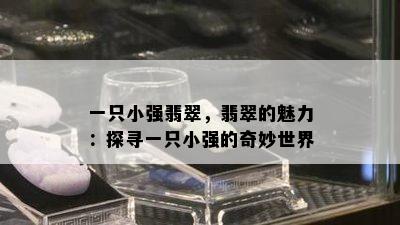 一只小强翡翠，翡翠的魅力：探寻一只小强的奇妙世界