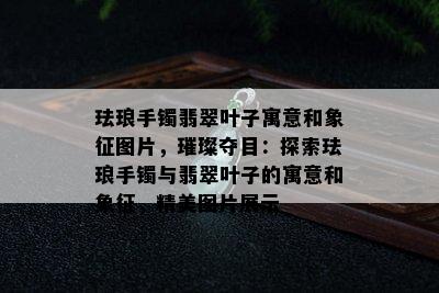 珐琅手镯翡翠叶子寓意和象征图片，璀璨夺目：探索珐琅手镯与翡翠叶子的寓意和象征，精美图片展示