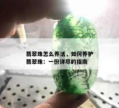 翡翠珠怎么养活，如何养护翡翠珠：一份详尽的指南