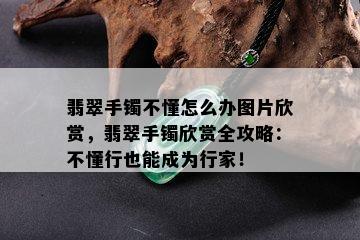 翡翠手镯不懂怎么办图片欣赏，翡翠手镯欣赏全攻略：不懂行也能成为行家！