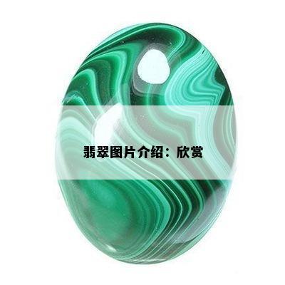 翡翠图片介绍：欣赏