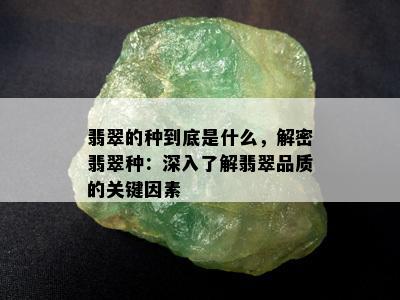 翡翠的种到底是什么，解密翡翠种：深入了解翡翠品质的关键因素