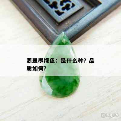 翡翠墨绿色：是什么种？品质如何？