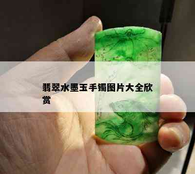 翡翠水墨玉手镯图片大全欣赏