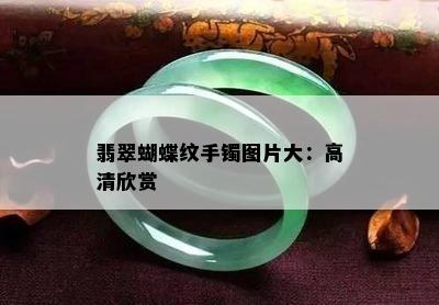 翡翠蝴蝶纹手镯图片大：高清欣赏