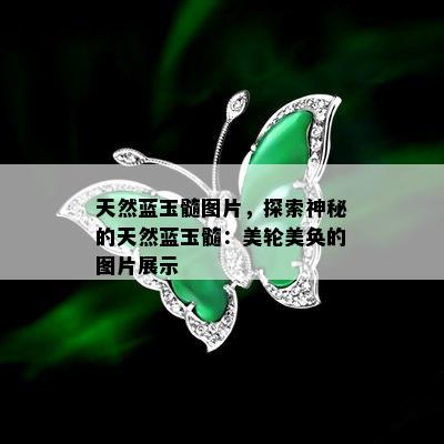 天然蓝玉髓图片，探索神秘的天然蓝玉髓：美轮美奂的图片展示