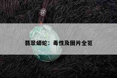 翡翠蟒蛇：性及图片全览