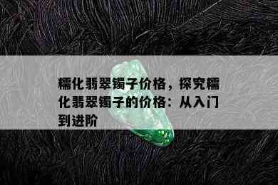 糯化翡翠镯子价格，探究糯化翡翠镯子的价格：从入门到进阶