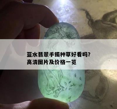 蓝水翡翠手镯种草好看吗？高清图片及价格一览