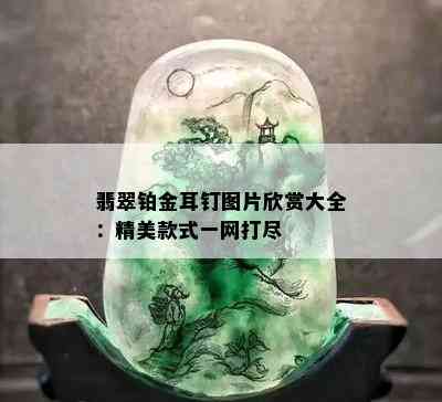 翡翠铂金耳钉图片欣赏大全：精美款式一网打尽