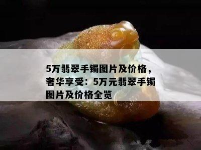 5万翡翠手镯图片及价格，奢华享受：5万元翡翠手镯图片及价格全览