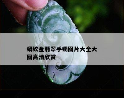 蟒纹金翡翠手镯图片大全大图高清欣赏