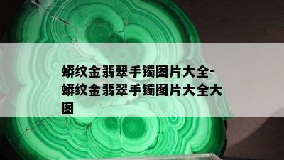 蟒纹金翡翠手镯图片大全-蟒纹金翡翠手镯图片大全大图