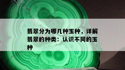 翡翠分为哪几种玉种，详解翡翠的种类：认识不同的玉种