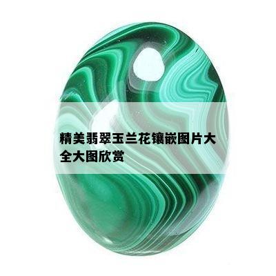 精美翡翠玉兰花镶嵌图片大全大图欣赏