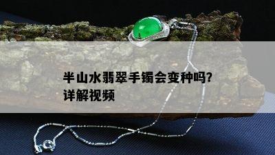 半山水翡翠手镯会变种吗？详解视频