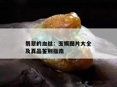 翡翠的血丝：玉镯图片大全及真品鉴别指南