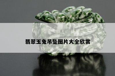 翡翠玉兔吊坠图片大全欣赏