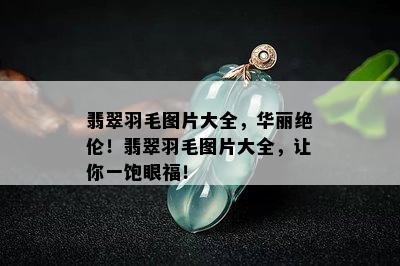 翡翠羽毛图片大全，华丽绝伦！翡翠羽毛图片大全，让你一饱眼福！